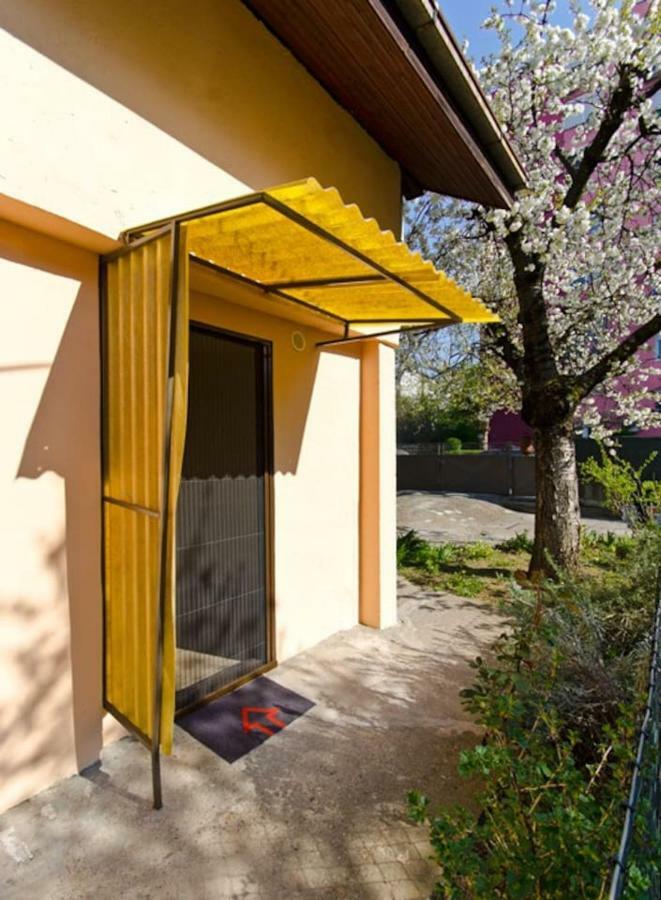 Cherry Tree Art House Bělehrad Exteriér fotografie